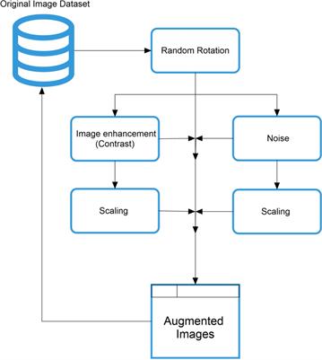 Developing precision agriculture using data augmentation framework for automatic identification of castor insect pests